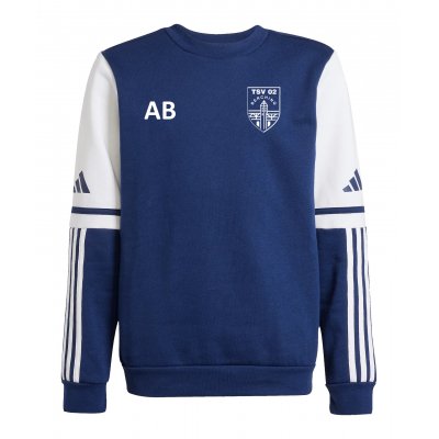 adidas Pullover TSV Berching Navy Blue JD2958