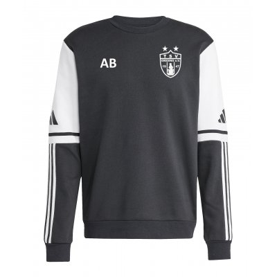adidas Pullover TSV Greding JE2780
