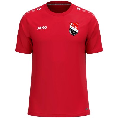 Jako T-Shirt SpVgg Reichertshofen rot 6100-100