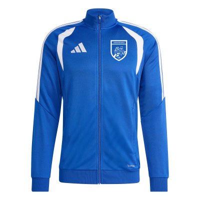 adidas Trainingsjacke DJK Burggriesbach JY7210