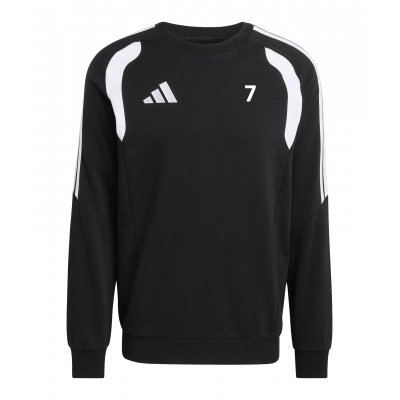 adidas Sweat Pullover SpVgg Reichertshofen KF3413