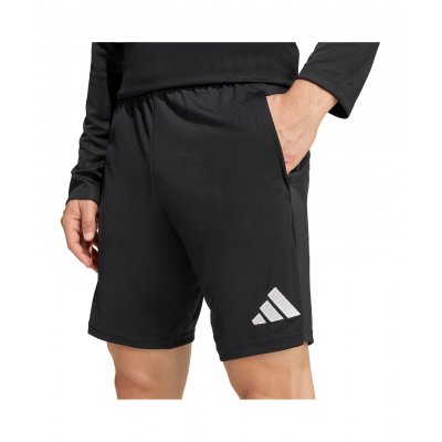 adidas kurze Trainingshose SpVgg Reichertshofen schwarz...